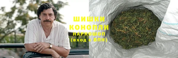 ALPHA PVP Горнозаводск