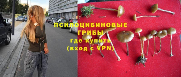 спайс Володарск