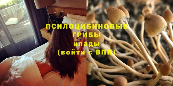 ALPHA PVP Горнозаводск